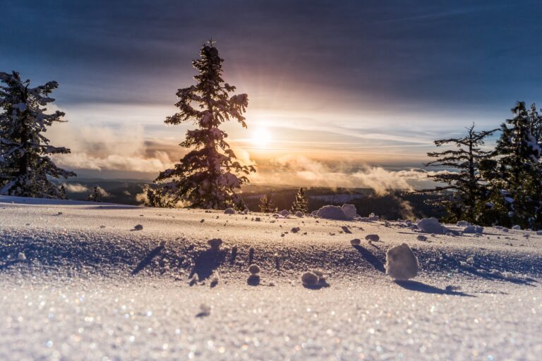 APRENDA INGLÊS NO SOLSTÍCIO DE INVERNO: MERGULHE NA CULTURA E PRATIQUE O IDIOMA